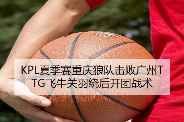 KPL夏季赛重庆狼队击败广州TTG飞牛关羽绕后开团战术